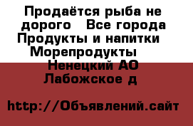 Продаётся рыба не дорого - Все города Продукты и напитки » Морепродукты   . Ненецкий АО,Лабожское д.